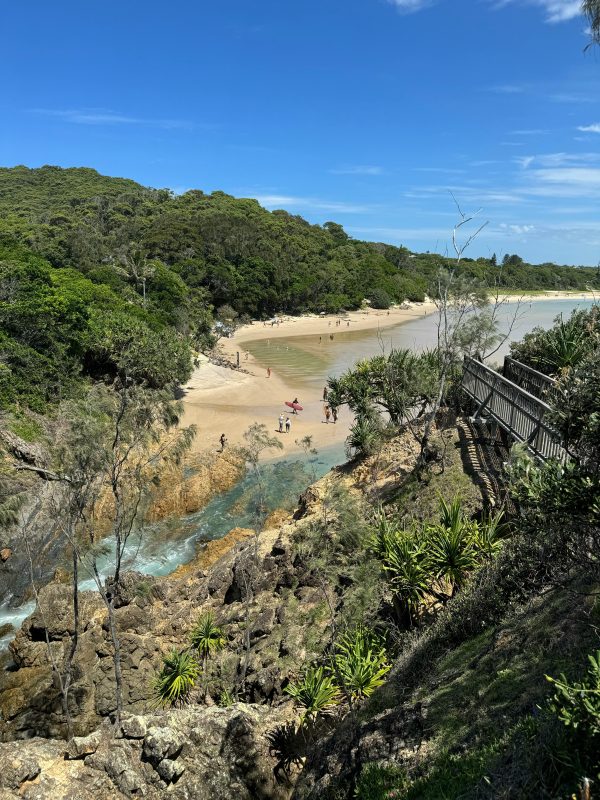 pexels-petra-nesti-1766376-20239579